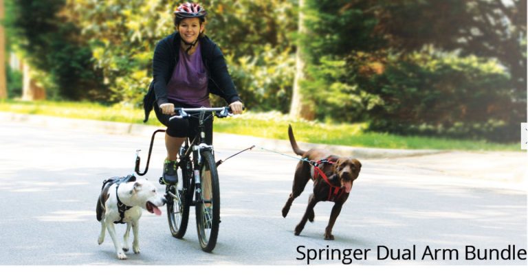 Springer Dog Exerciser Antique