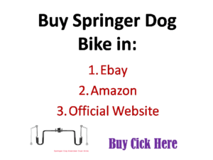 Springer Dogs Exerciser