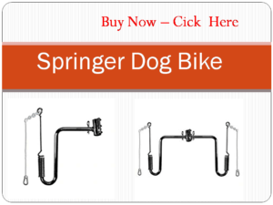 Springer Bike Attachments