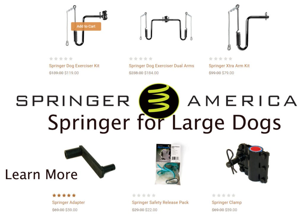 Springer Leash Spring Mechanism