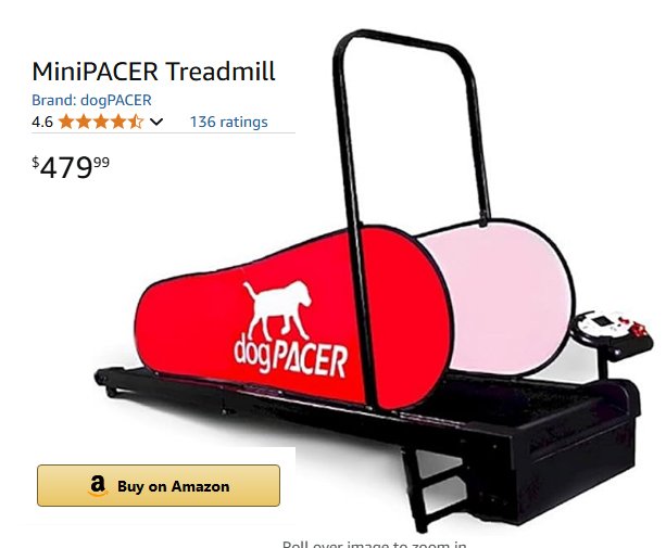dogPACER MiniPACER Treadmill